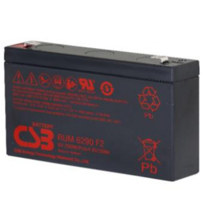 RUM 6290 F2